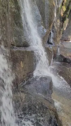 Foto 23 de Trilha Cachoeira da Graça