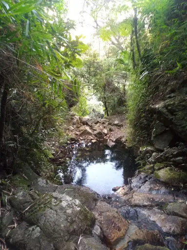 Foto 30 de CACHOEIRA DO SURU SERRA DO VOTORUNA