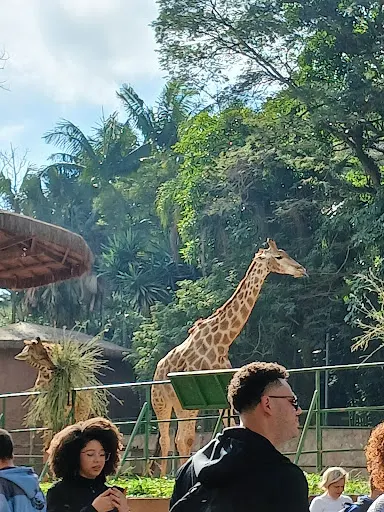Foto 24 de Zoo São Paulo