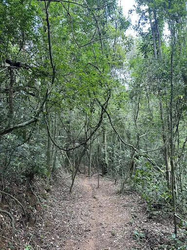Foto 12 de Parque Estadual Cantareira - Núcleo Engordador