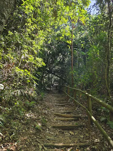 Foto 24 de Parque Estadual Cantareira - Núcleo Cabuçu