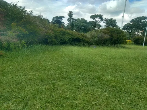 Foto 28 de Monumento à Independência