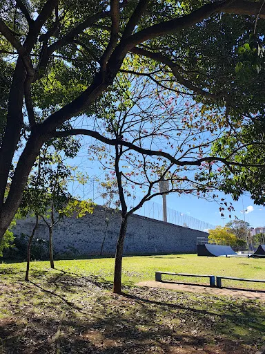 Foto 10 de Parque da Juventude