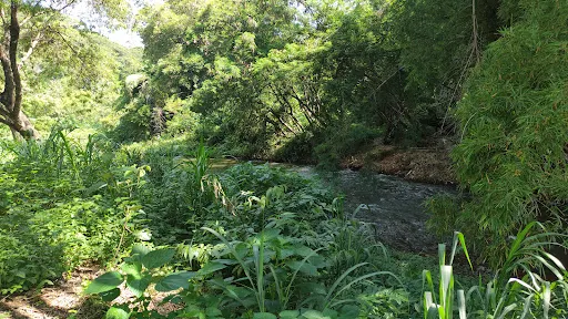 Foto 9 de Cachoeira da Chave