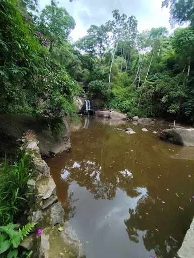 Foto 8 de CACHOEIRA DA GRAÇA COTIA