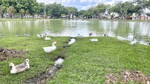 Foto 31 de Parque Lagoa dos Pássaros