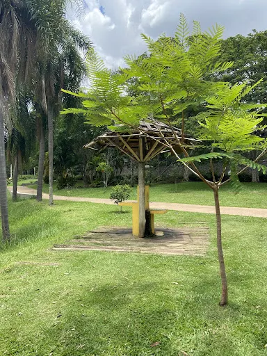 Foto 10 de Praça Vinícius de Moraes