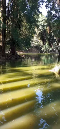 Foto 8 de Parque Horto Florestal - Portões 1 e 2