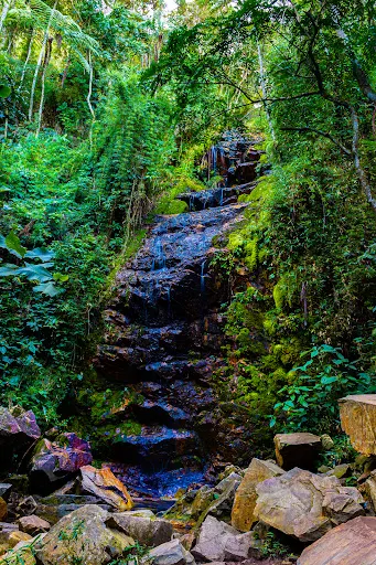 Foto 23 de CACHOEIRA DO SURU SERRA DO VOTORUNA