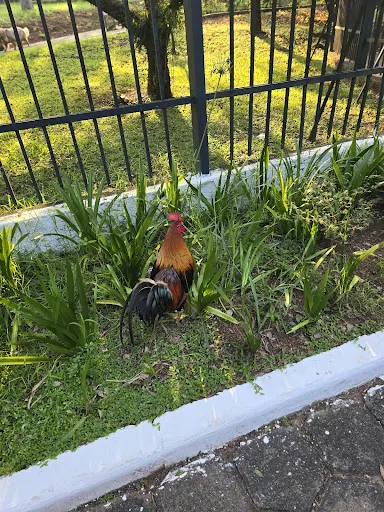 Foto 32 de Parque Ecológico Profª Lydia Natalizio Diogo - Vila Prudente