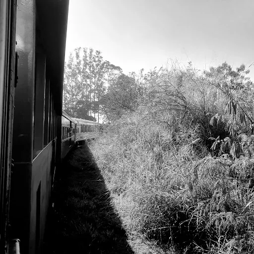 Foto 15 de Trem da República de Itu