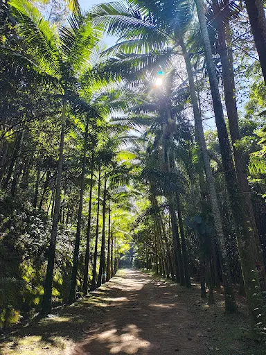 Foto 12 de Parque Estadual Cantareira - Núcleo Cabuçu