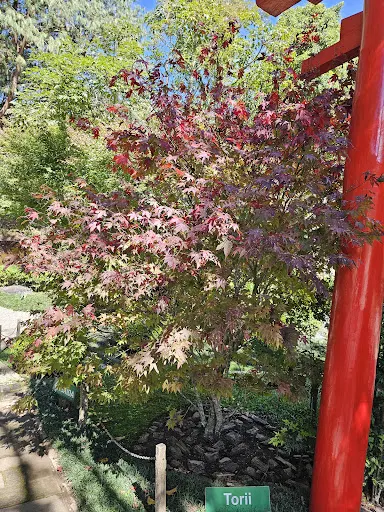 Foto 11 de Parque Amantikir