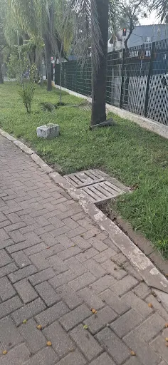 Foto 27 de Parque Ecológico Fernando Vitor de Araújo Ales (Pq. do Eldorado)