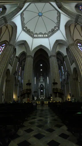 Foto 29 de Catedral Metropolitana Nossa Senhora da Assunção