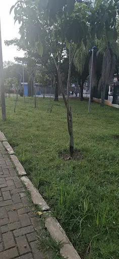 Foto 26 de Parque Ecológico Fernando Vitor de Araújo Ales (Pq. do Eldorado)