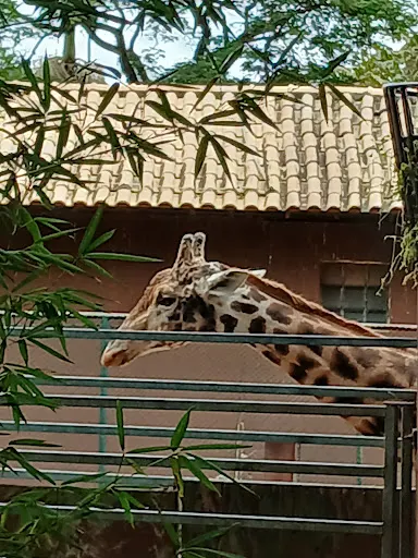 Foto 21 de Zoo São Paulo