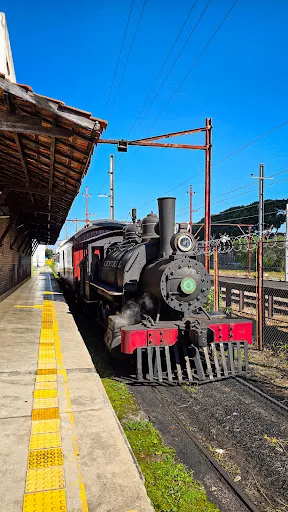 Foto 9 de Trem do Imigrante - ABPF São Paulo