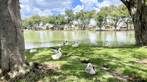 Foto 40 de Parque Lagoa dos Pássaros