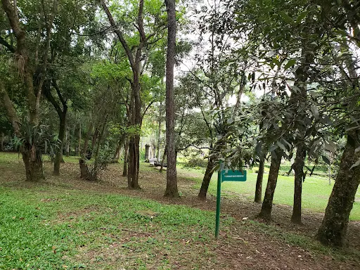 Foto 6 de Bosque das Imbúias