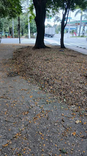Foto 22 de Parque Linear Tiquatira - Eng. Werner Eugênio Zulauf