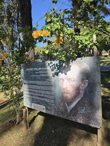 Foto 18 de Parque Van Gogh