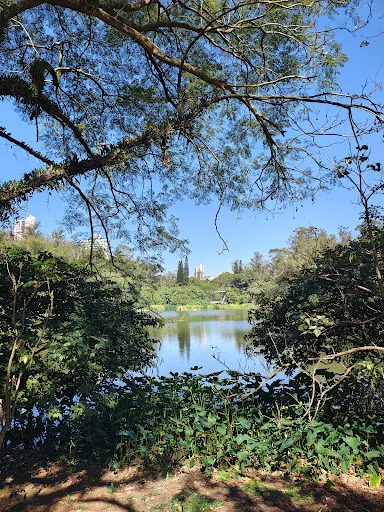 Foto 14 de Parque da Aclimação