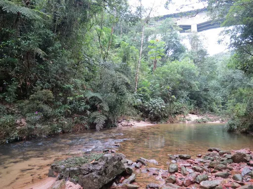 Foto 23 de Ribeirão Dos Campos
