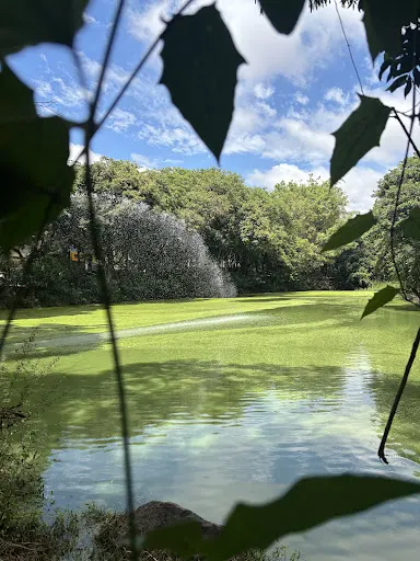Foto 8 de Parque Ecológico Dionísio Alvarez Mateos
