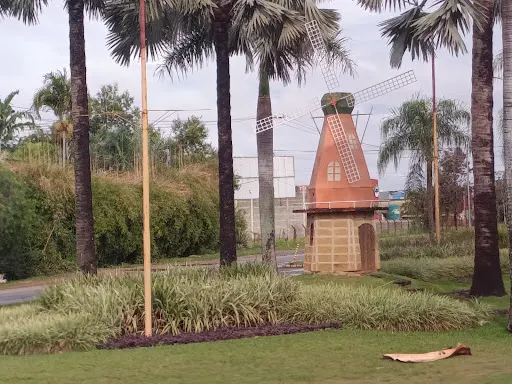 Foto 14 de Portal Turístico da Cidade de Holambra