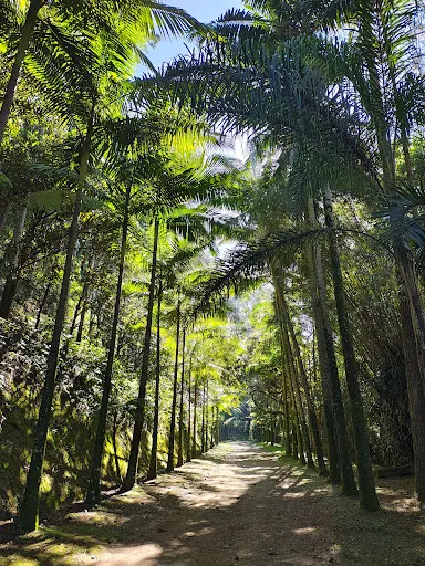 Foto 13 de Parque Estadual Cantareira - Núcleo Cabuçu