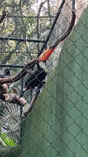 Foto 13 de Zoo São Paulo