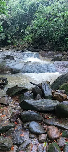 Foto 28 de Cachoeira Gleba