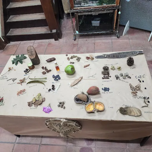 Foto 10 de Centro de Educação Ambiental - Parque Ecológico do Tietê
