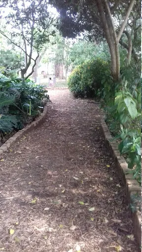 Foto 40 de Parque Severo Gomes