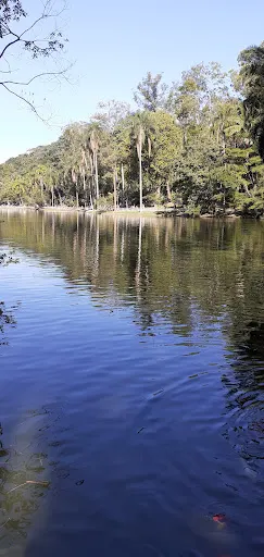 Foto 11 de Parque Horto Florestal - Portões 1 e 2