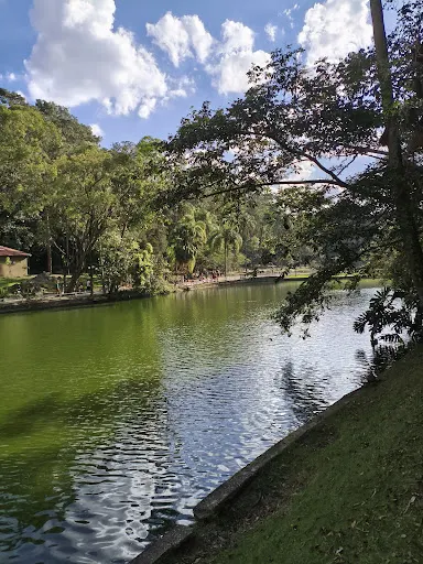 Foto 13 de Parque Horto Florestal - Portão 4