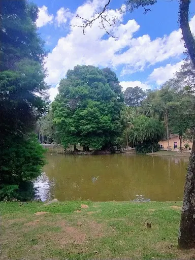 Foto 5 de Palácio do Horto Florestal (Palácio de Verão do Governador)