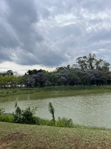 Foto 24 de Parque Ibirapuera