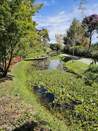 Foto 19 de Parque Amantikir