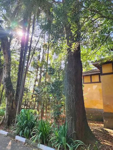 Foto 26 de Parque da Água Branca