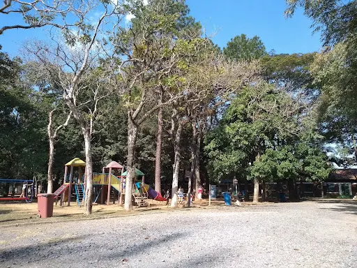 Foto 10 de Horto Florestal - Antigo Clube do Tiro