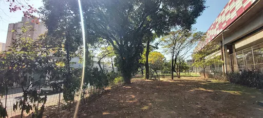 Foto 15 de Parque Benemérito José Brás