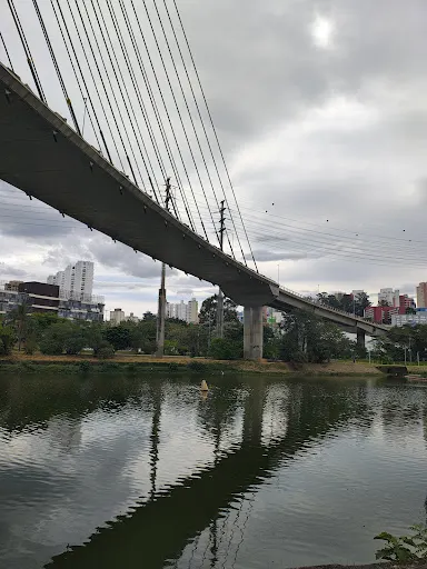 Foto 11 de Ponte Estaiada Octavio Frias de Oliveira