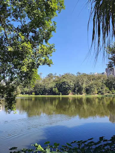 Foto 21 de Parque da Aclimação