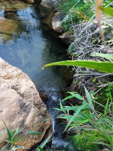 Foto 35 de CACHOEIRA DO SURU SERRA DO VOTORUNA