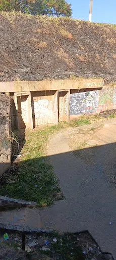 Foto 34 de Passeio de trem - Maria Fumaça Campinas
