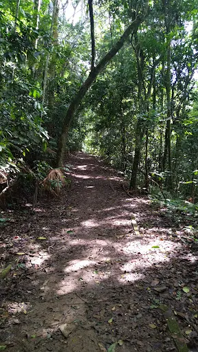 Foto 22 de Trilha do Silêncio