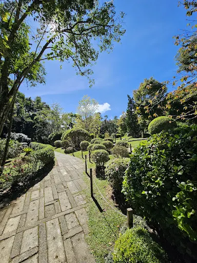 Foto 10 de Parque Amantikir