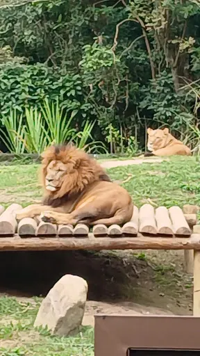 Foto 22 de Zoo São Paulo